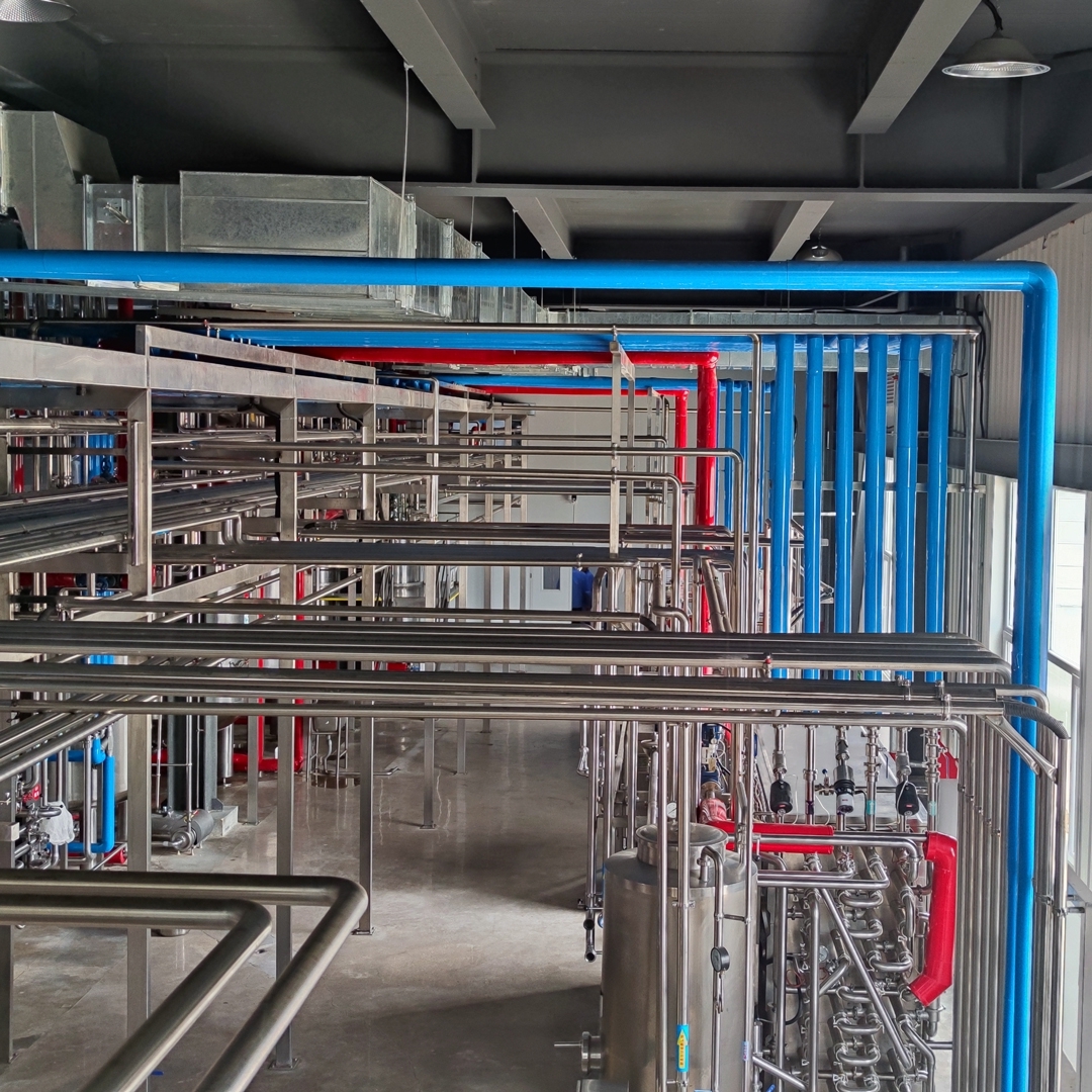 發(fā)酵乳酸菌生產(chǎn)線 發(fā)酵乳酸菌生產(chǎn)線